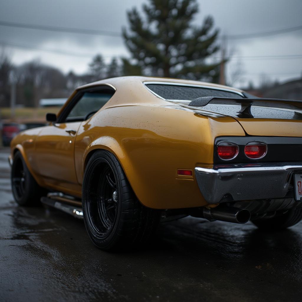 Iconic Rear Profile of the 1969 Chevelle SS - Showing Taillights and Body Lines