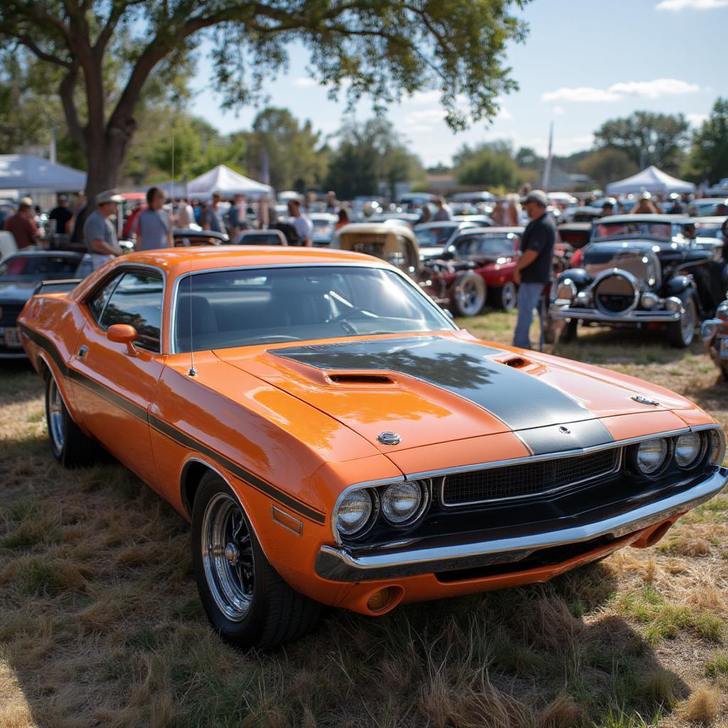 1970 Dodge Challenger auction Texas showcasing its iconic side profile