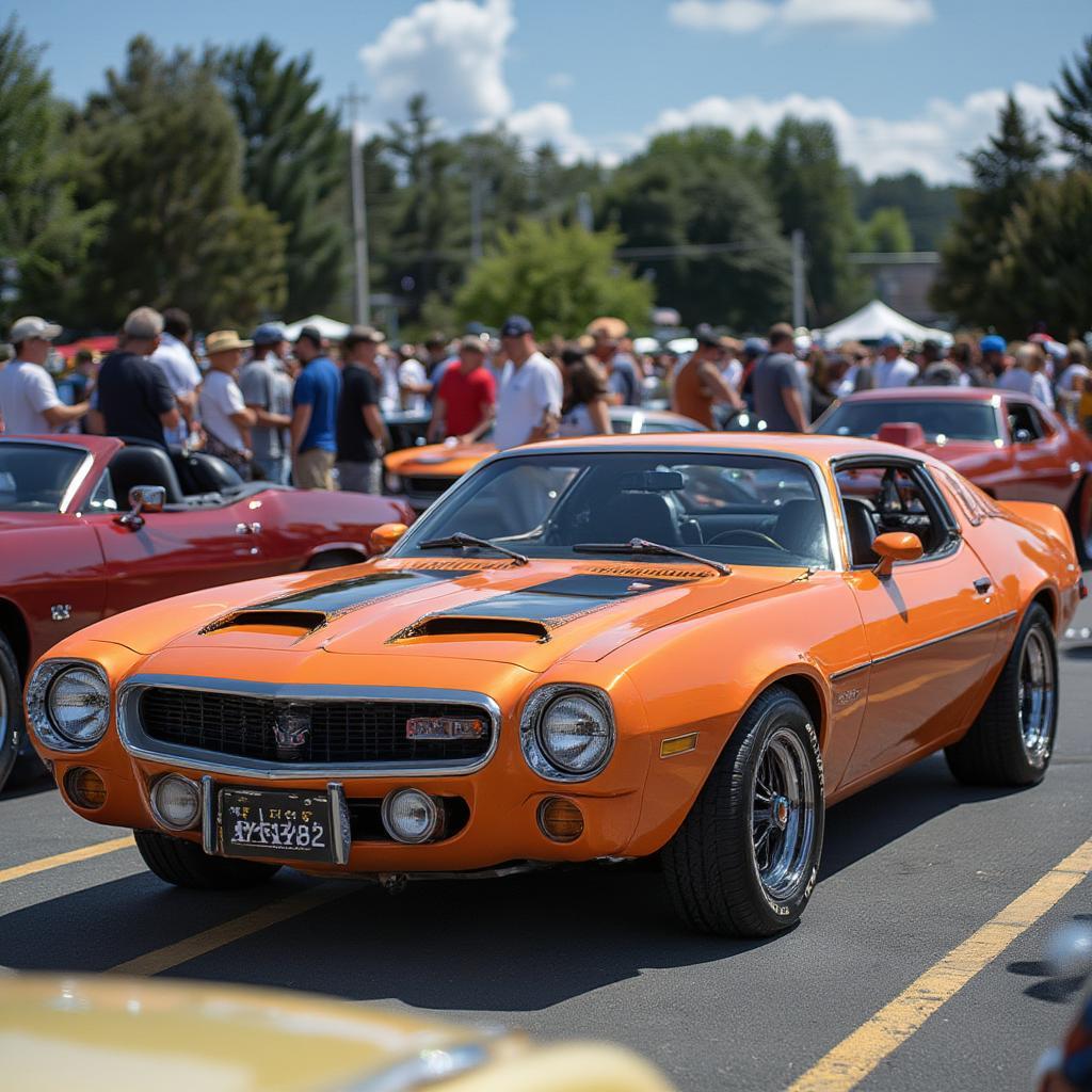 Classic 1979 AMC AMX Displayed at Car Show