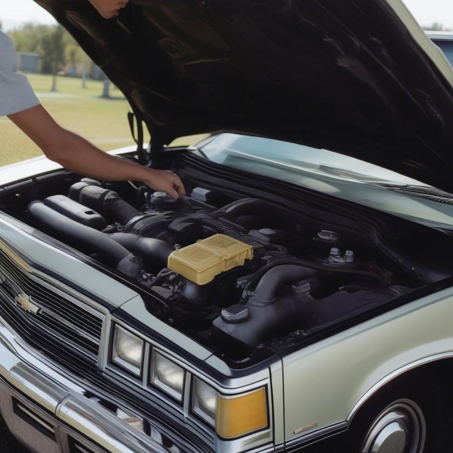 Inspecting the Engine of a 1989 Chevy Caprice