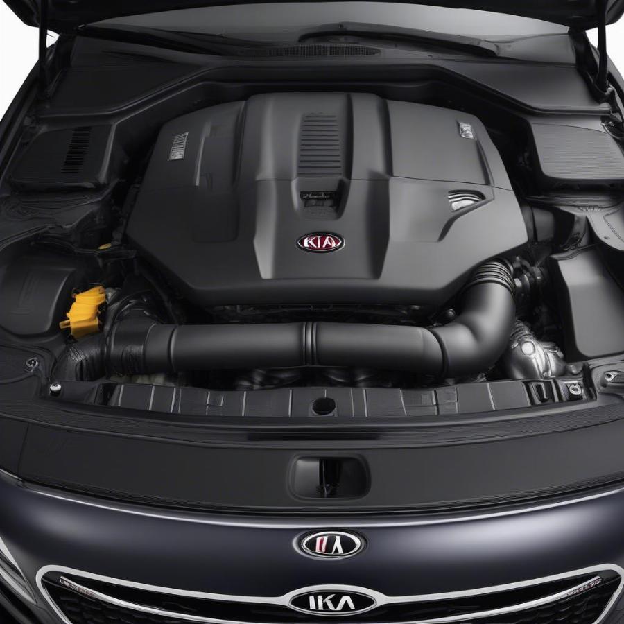 2017 Kia K900 Engine Bay - Detailing the powerful and efficient engine options available