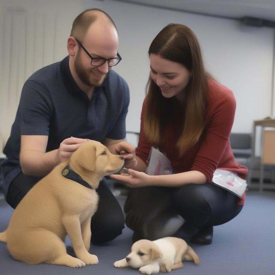 Battersea Puppy Personality Matching