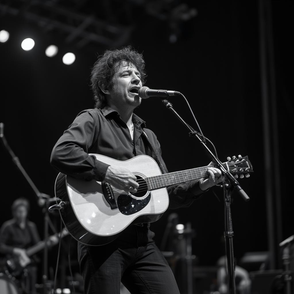 Bob Dylan Performing Acoustic Guitar During Good As I Been To You Era