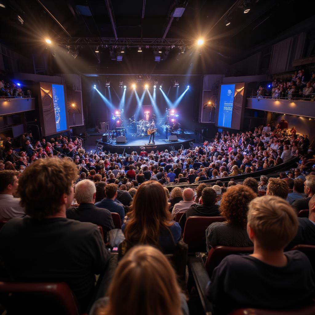 photograph of audience at bob dylan ryman auditorium