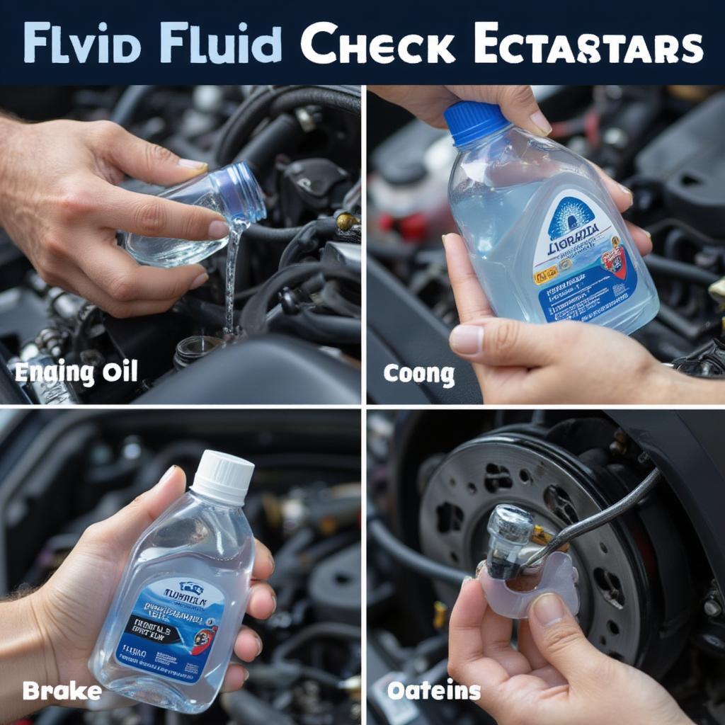 A Person Checking Car Fluids