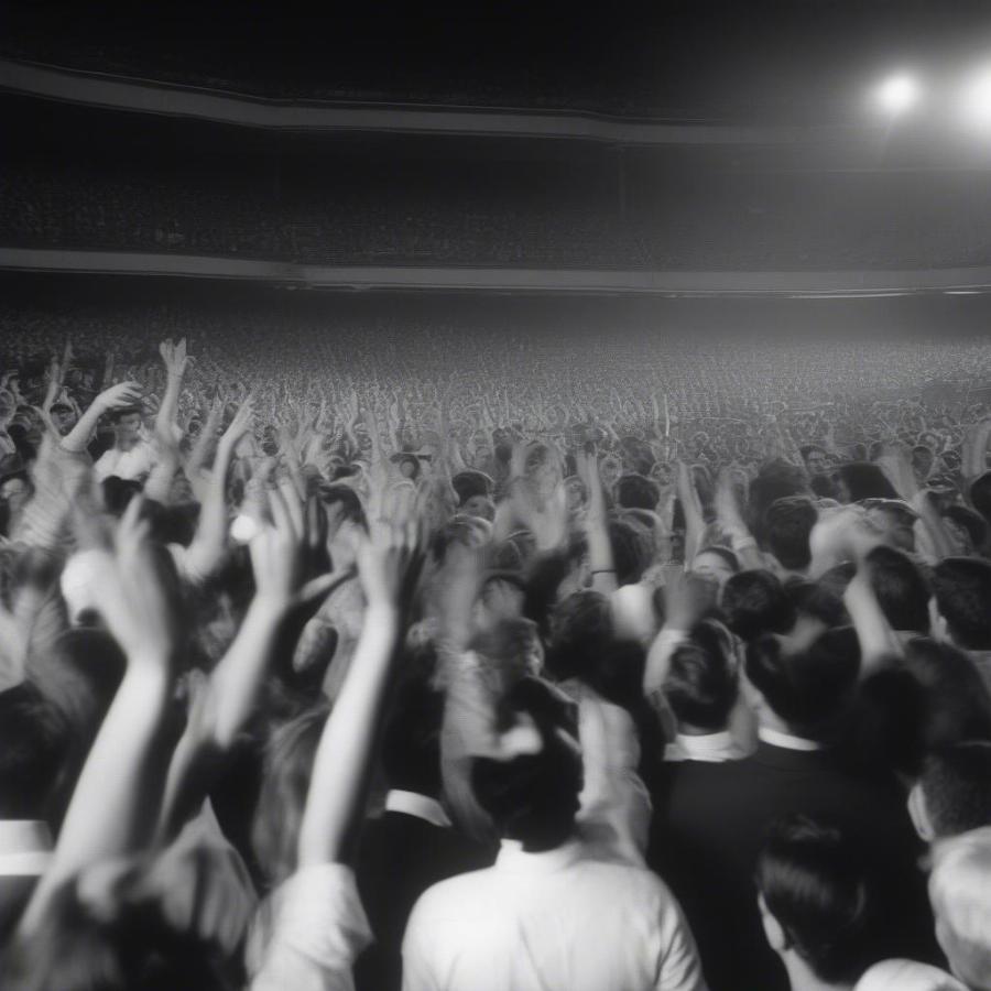 Elvis Presley's Memphis concert crowd reaction captures the energy and excitement of his live performances.