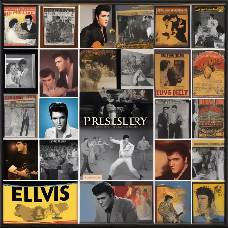 Elvis Presley's Musical Legacy