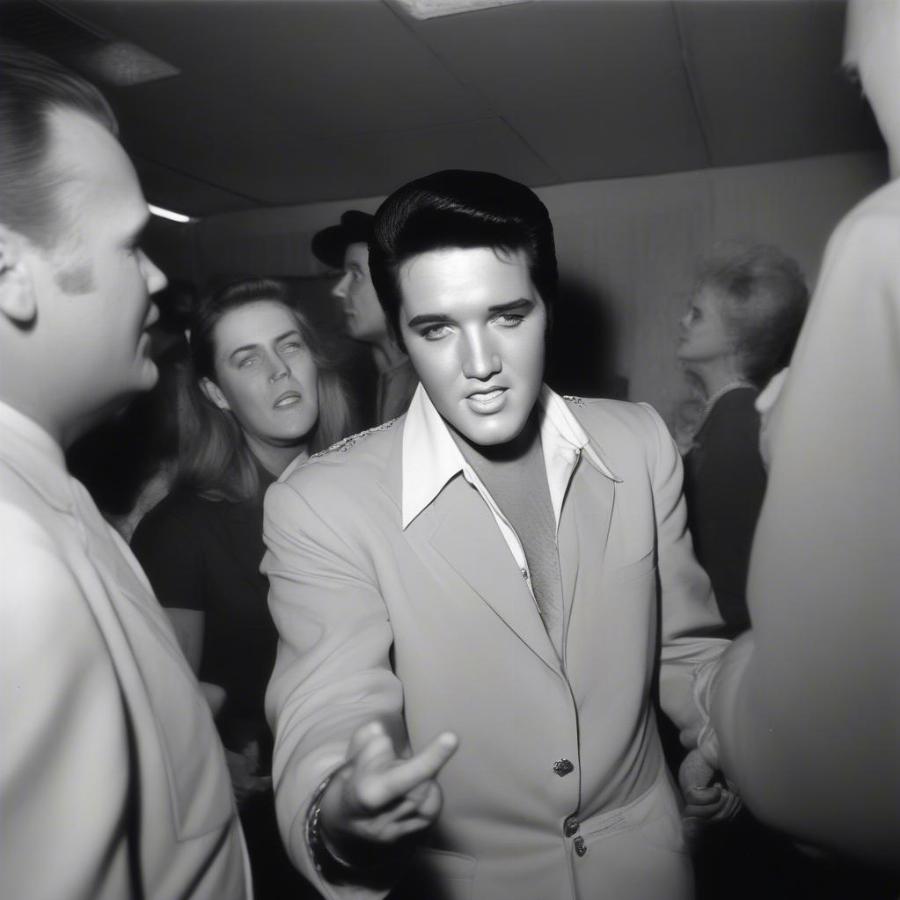 Elvis and his Fans in That's The Way It Is