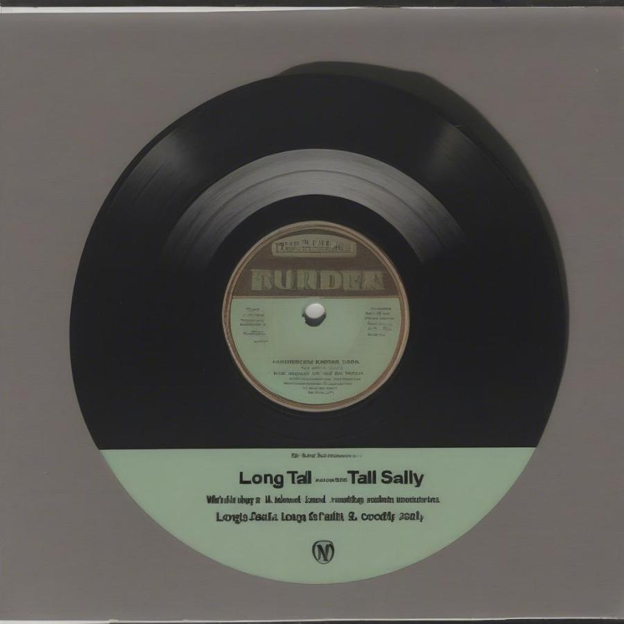 Vintage Long Tall Sally Vinyl Record