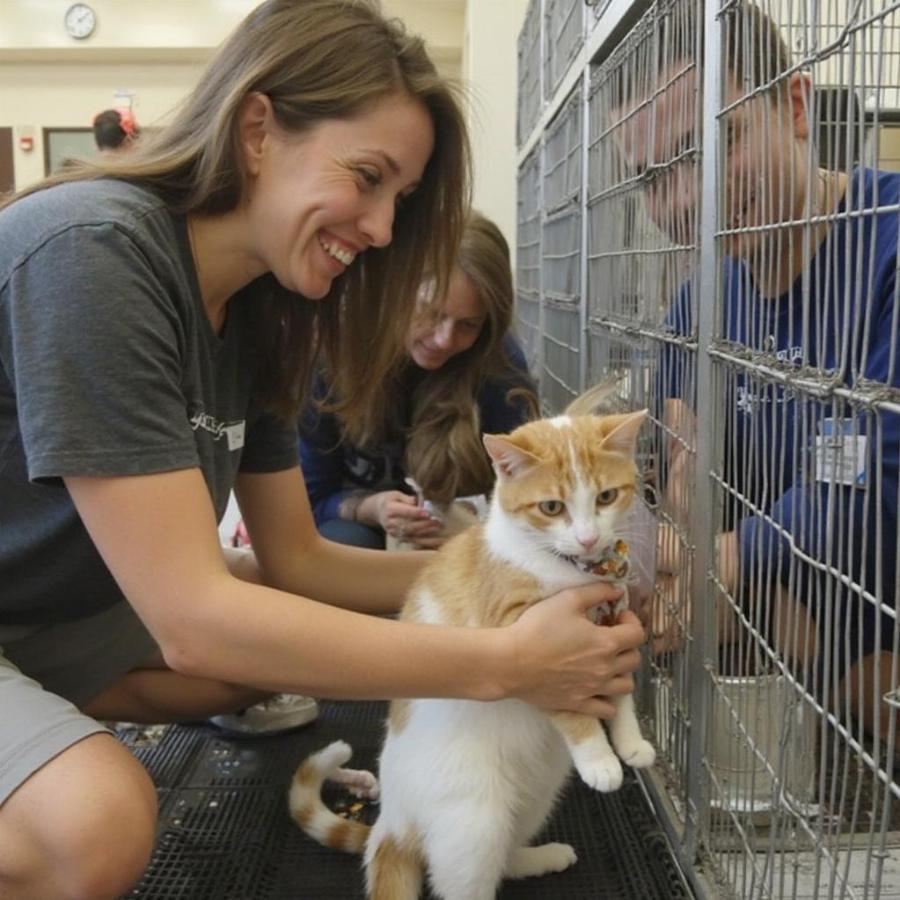 Supporting Your Local Humane Society by Volunteering Your Time