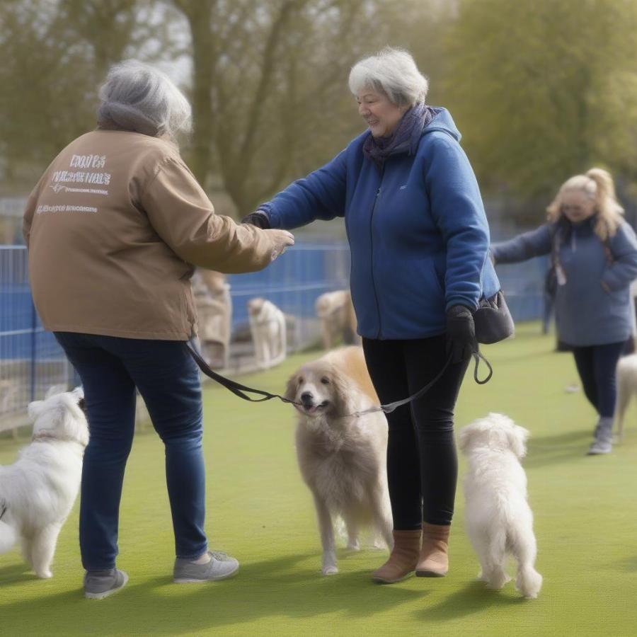 Volunteering at Battersea Windsor