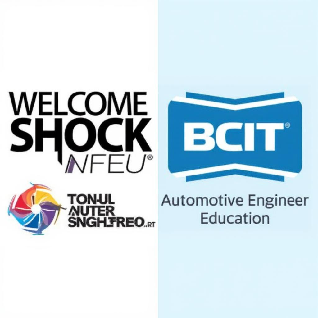 Welcome Shock Naue and BCIT Partnership Logo