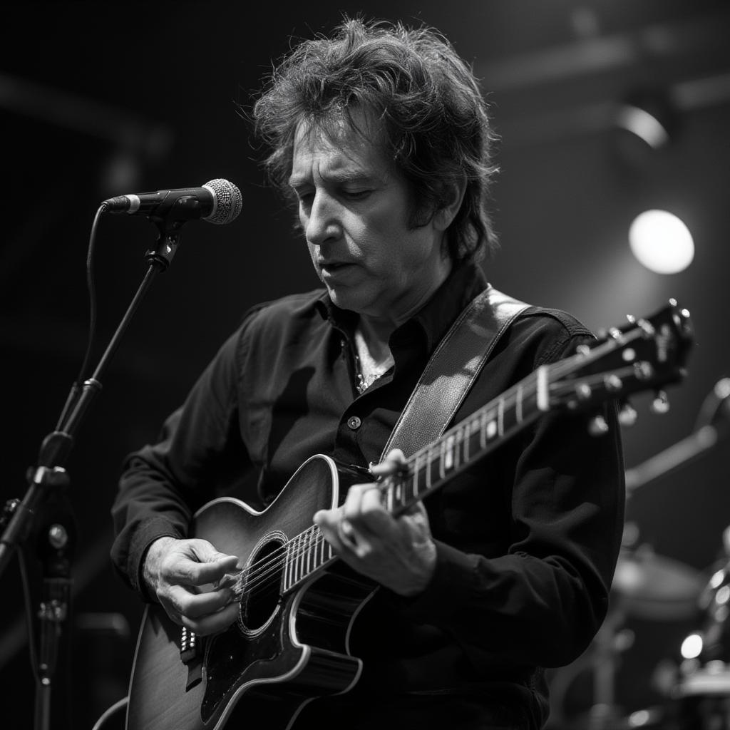 bob dylan never ending tour performance