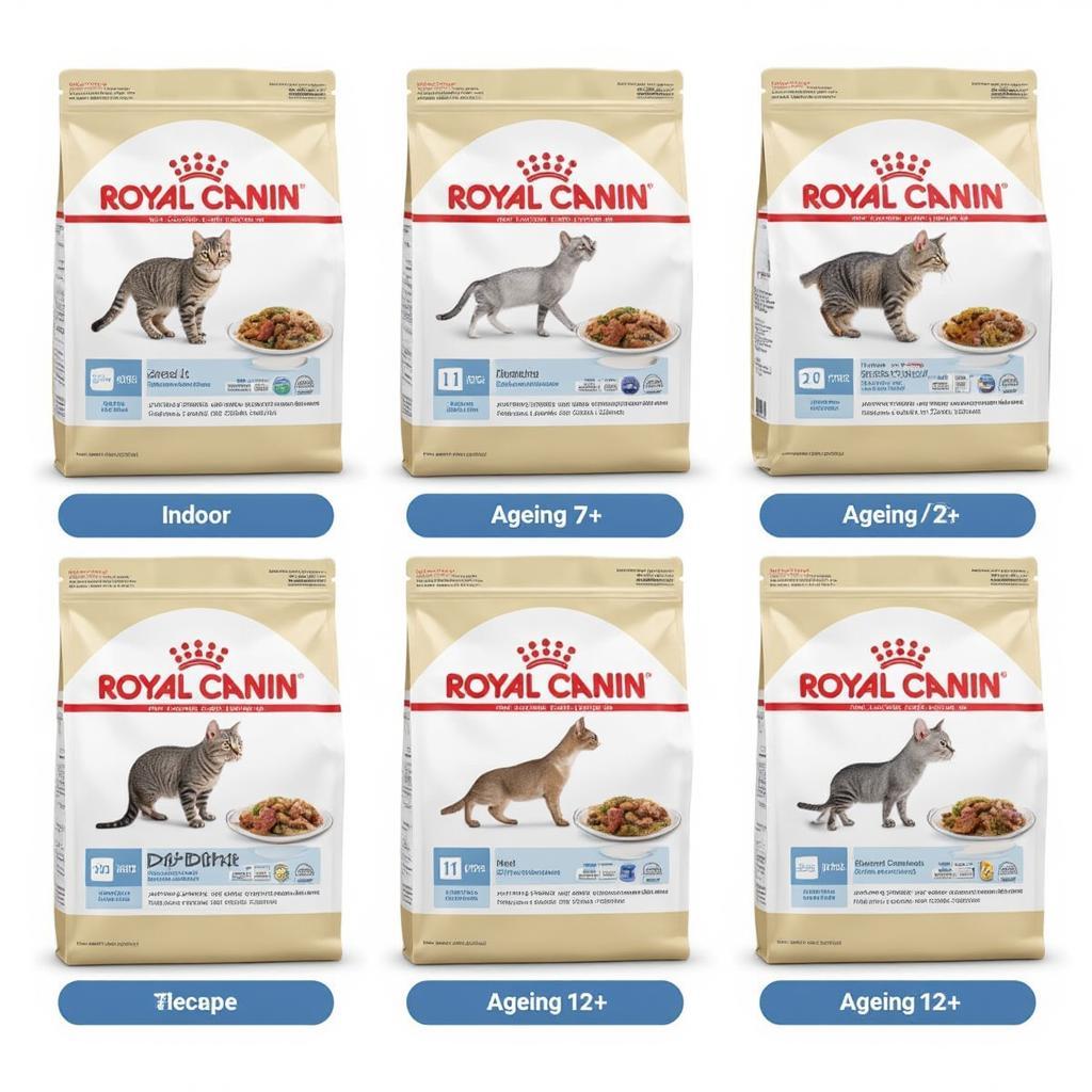 various royal canin senior cat foods