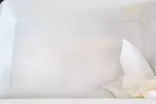 Ablauf Cannelloni mit Spinat – Auflaufform einfetten und Ofen vorheizen.