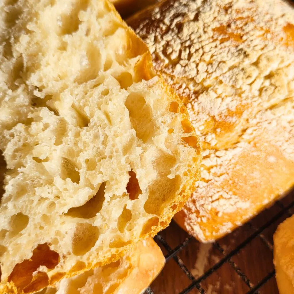 Aktiver Sauerteig Starter für ein intensives Aroma in selbstgemachter Ciabatta