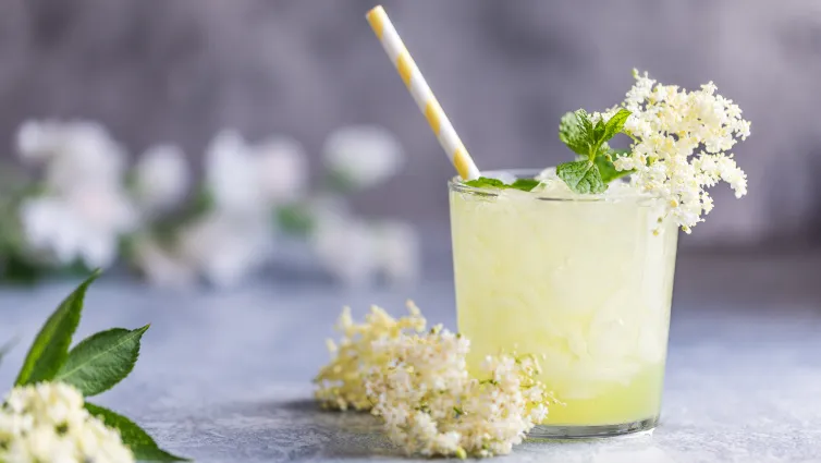 Alkoholfreier Hugo in einem Weinglas, dekoriert mit Minze und Limettenscheiben, ideal als Sommerdrink ohne Alkohol