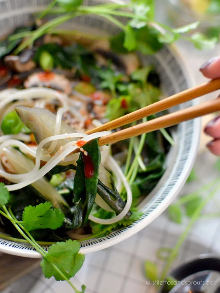 Als Einlage gibts Gemüse und Reisnudeln der Asia Nudelsuppe