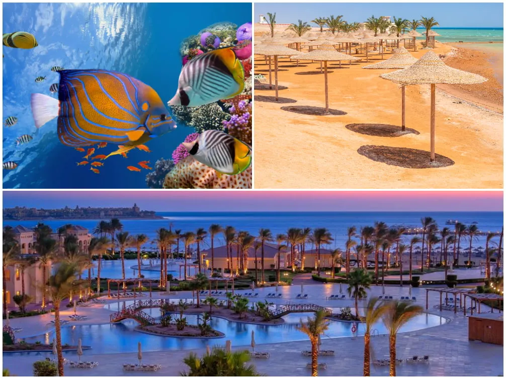 Alt text: Farbenprächtige Unterwasserwelt von Hurghada mit Korallen und Fischen, der weitläufige Strand von Makadi Bay und das luxuriöse Cleopatra Luxury Resort Makadi Bay am Roten Meer.