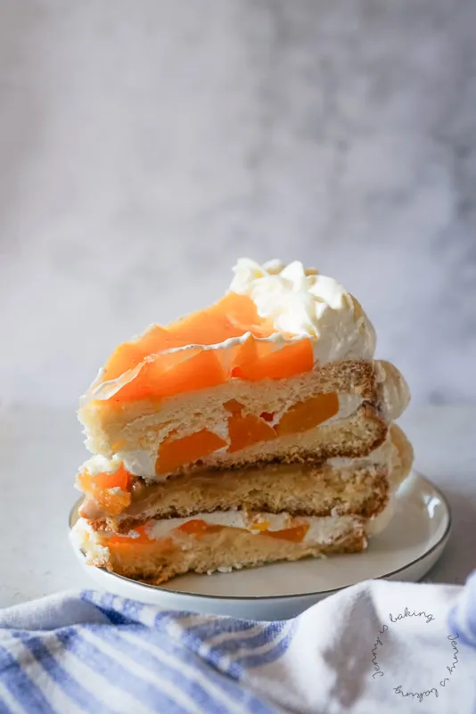 Alt-Text: Uruguayischer Postre Chaja mit Vanillebiskuit, Pfirsichen, Dulce de Leche und Baiser