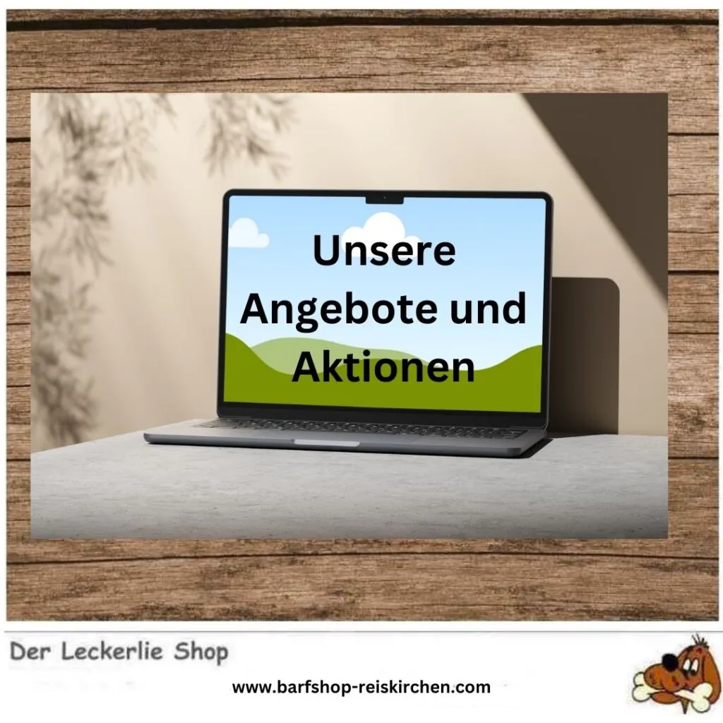 Angebote-und-Aktionen