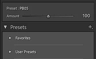 Anpassungs-Regler für Entwicklungsvorgaben in Lightroom Classic