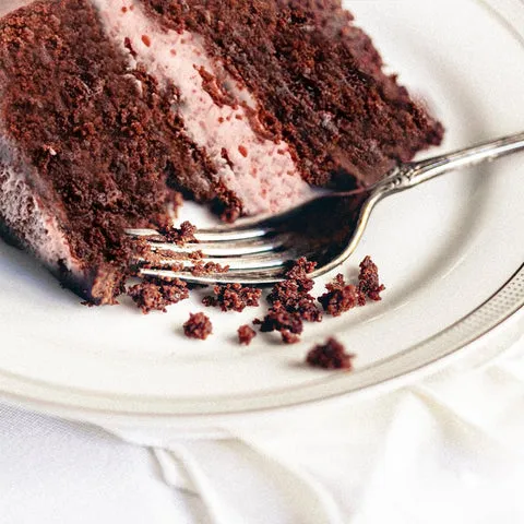 Anschnitt einer selbstgemachten Elsa Torte mit Erdbeercreme-Füllung und Schokobiskuit