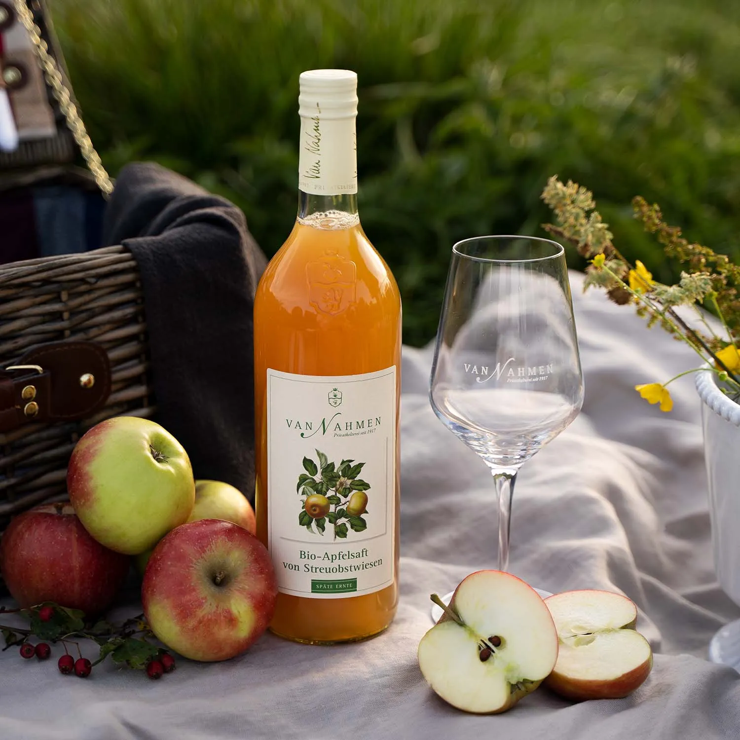 Äpfel auf einer Streuobstwiese werden zur Saftproduktion geerntet