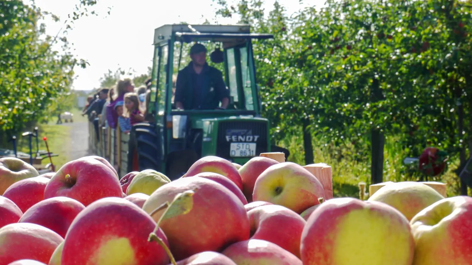 Apfelexpress im Alten Land