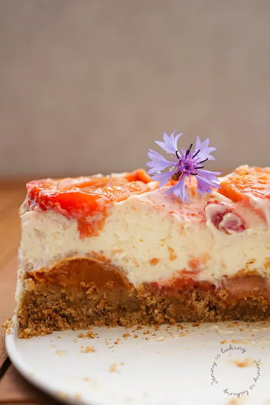 Aprikosen-Brezel-Torte angeschnitten, zeigt cremige Füllung und knusprigen Boden