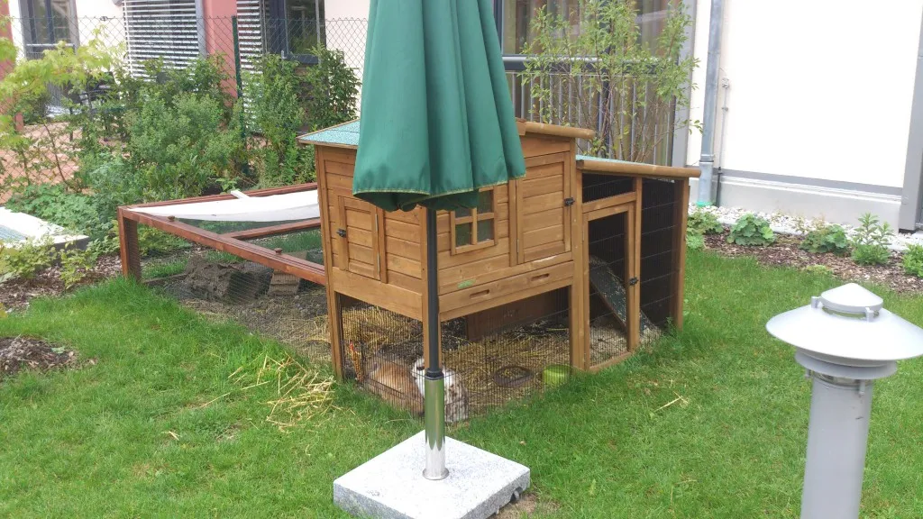 Attraktives und sicheres Kaninchengehege im Garten, das Schutz vor Fressfeinden bietet