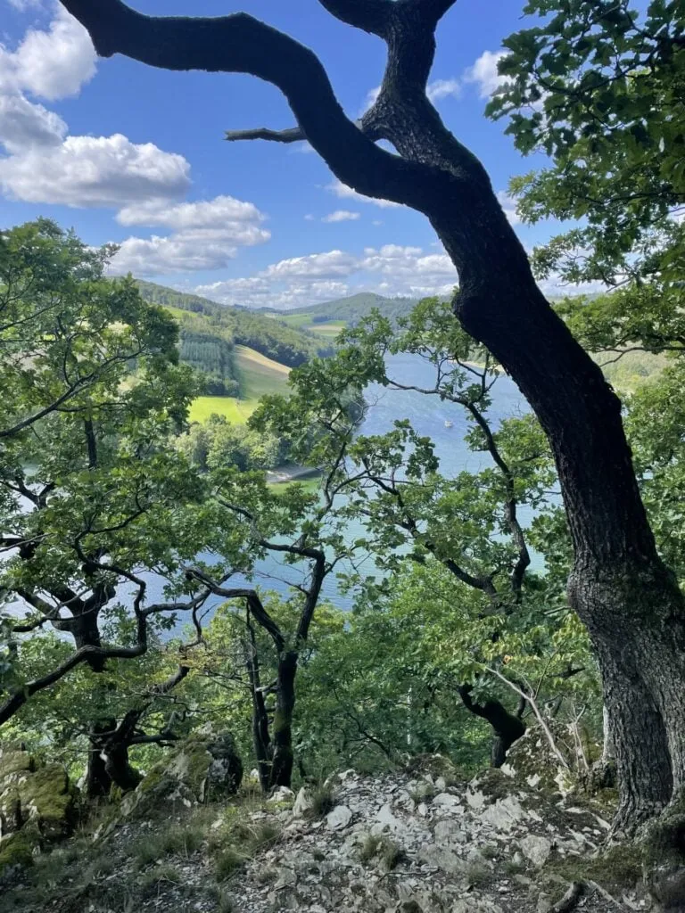 Ausblick auf den Diemelsee