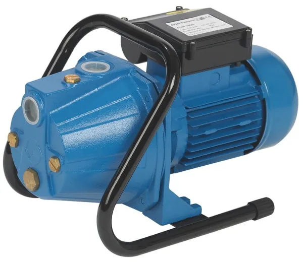 AVAG Hauswasserpumpe ACM 100 H