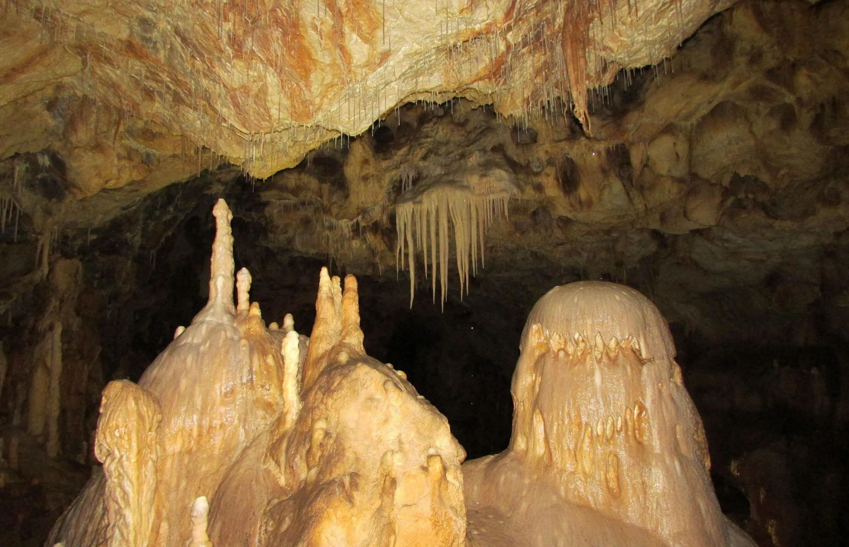 Bärenhähle Sonnenbühl Top Ausflugsziel Schwäbische Alb – 1
