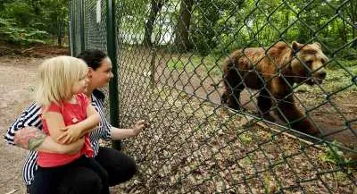 Bärenwald Müritz: Tierschutz hautnah bei einem Familienausflug