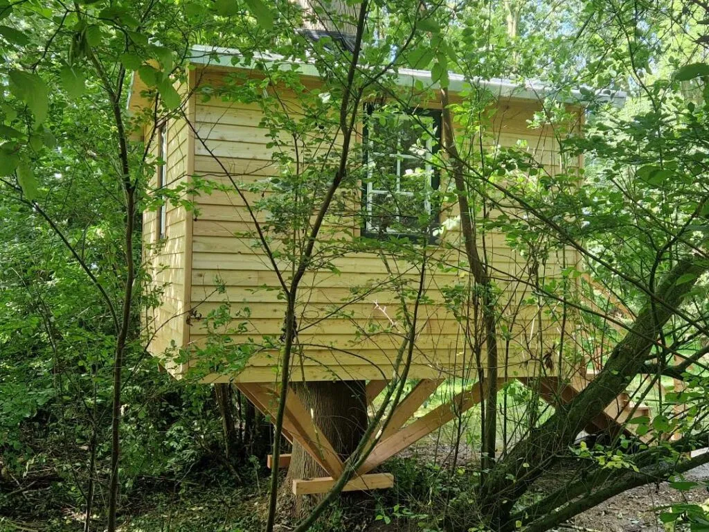 Baumhaus im Baum für ein puristisches Outdoor-Erlebnis