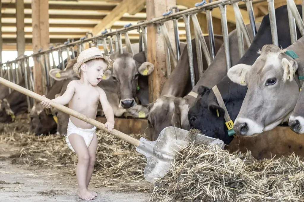 Baumhaushotel Allgäu Erlebnisbauernhof
