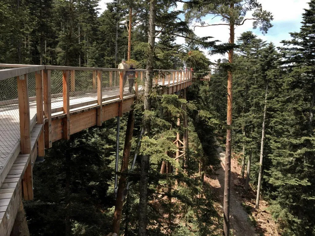 Baumwipfelpfad Schwarzwald Bad Wildbad