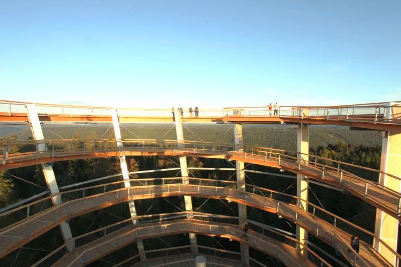 Baumwipfelpfad Wildbad: Ein atemberaubender Ausblick über den Schwarzwald