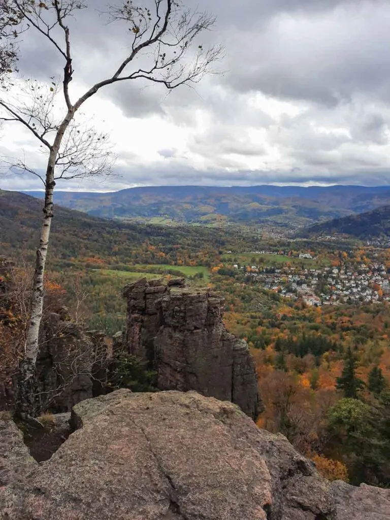 Beeindruckende Felsformationen der Falkenwand bei den Battertfelsen, ein beliebtes Klettergebiet für Outdoor-Enthusiasten im Schwarzwald