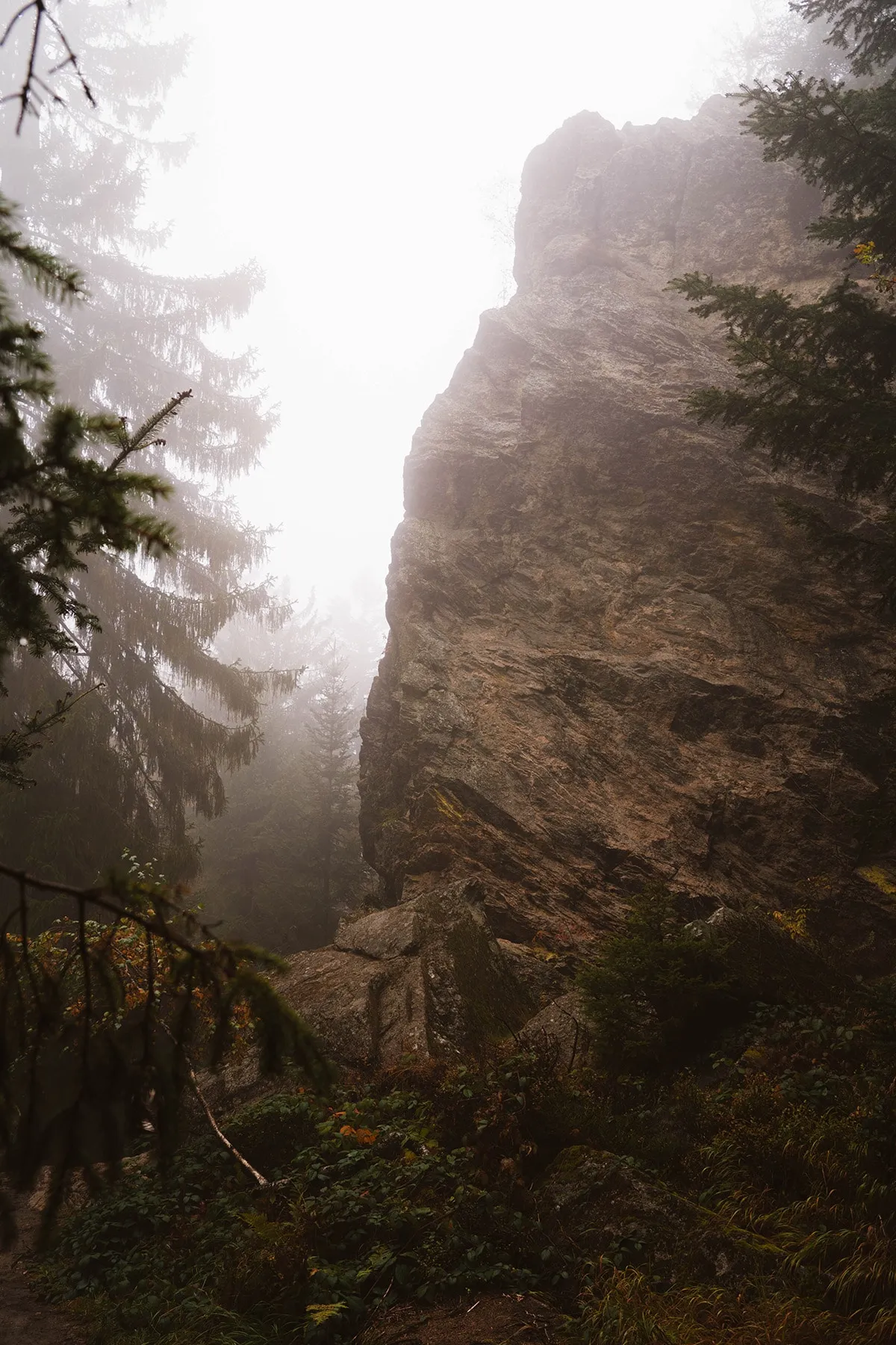 Beeindruckende Felsformationen im nebligen Wald am Kaitersberg