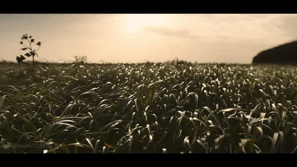 Beispiel eines 2D-Titel-Presets in DaVinci Resolve für schnelle Textanimationen