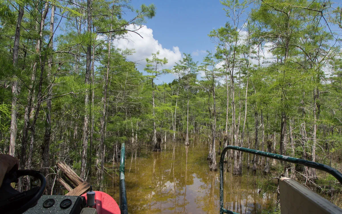big-cypress-nature-preserve-swampbuggy-5