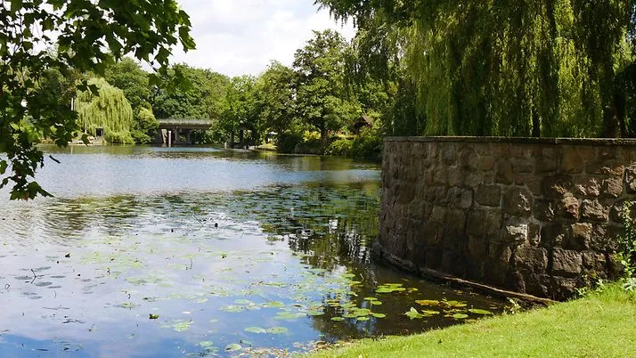 Bild der Landschaftsachse Alster