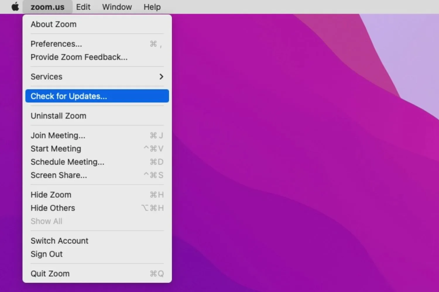 Bildschirmfoto: Zoom-Menü auf Mac, Option "Nach Updates suchen" hervorgehoben