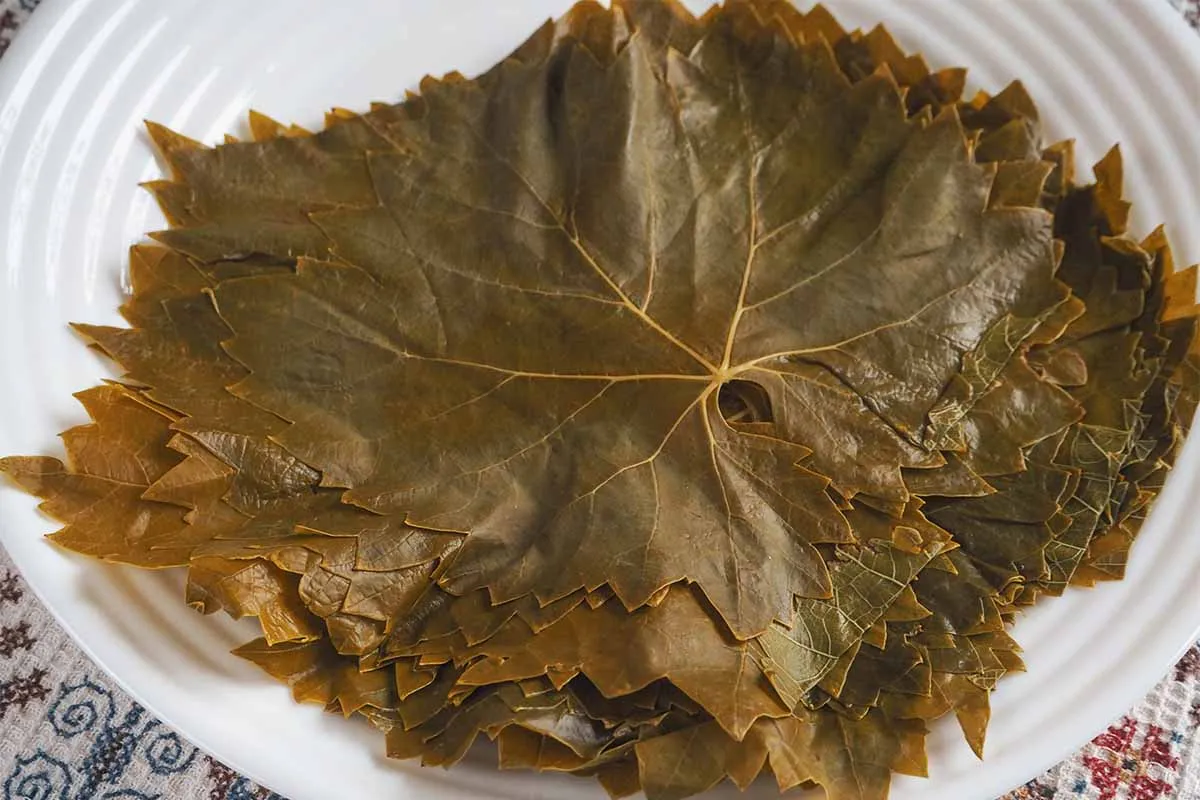 Blanchierte Weinblätter, sorgfältig gestapelt und vorbereitet für das Füllen und Wickeln zu Dolmades oder Sarma.