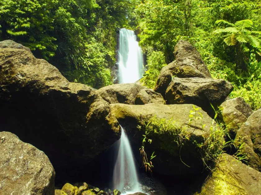 Blick auf dampfende Fumarolen im Valley of Desolation, Morne Trois Pitons Nationalpark, Dominica