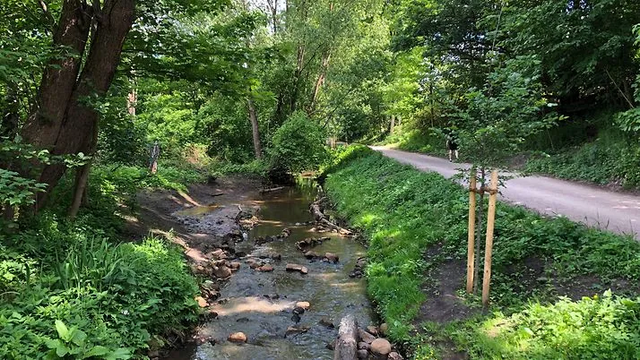 Blick auf den Flusslauf Kollau