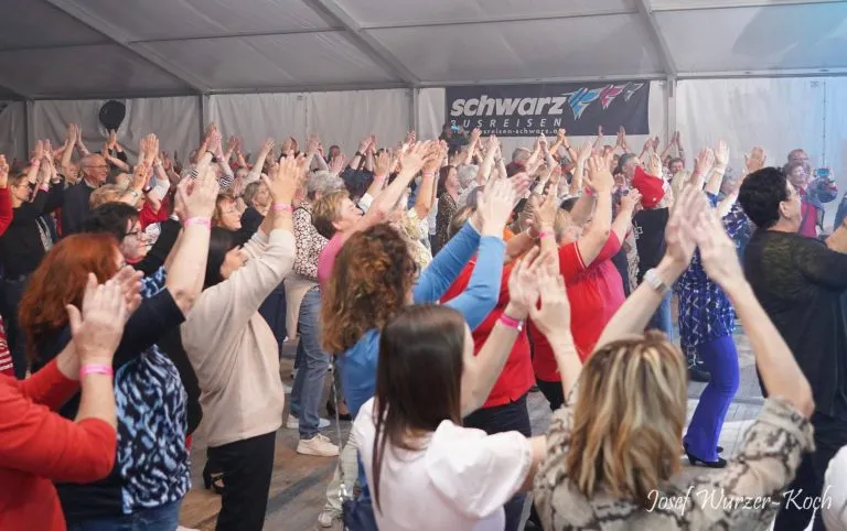 Blick auf die Altstadt von Porec bei Nacht