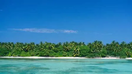 Blick auf die berühmten weißen Sandstrände der Malediven, mit Palmen, luxuriösen Overwater-Bungalows und dem türkisblauen Meer.